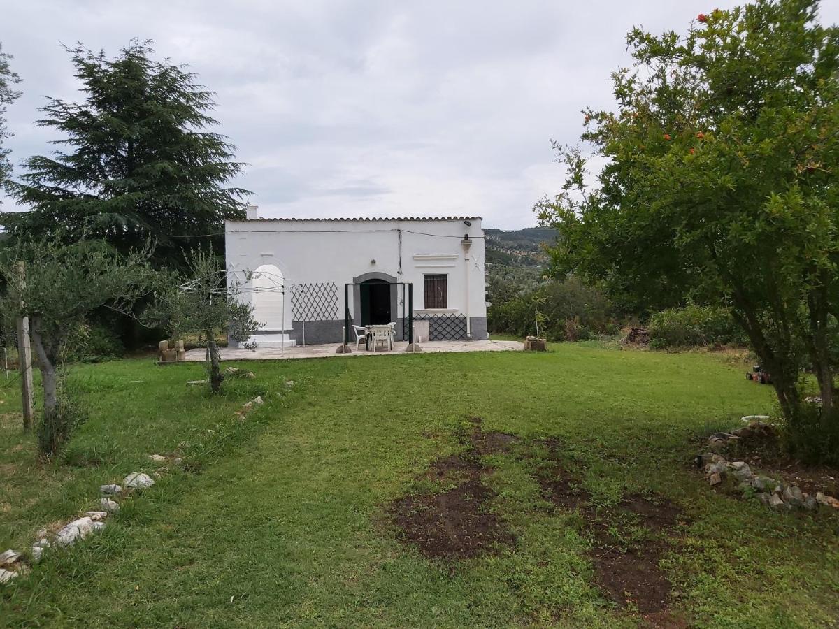 Casa Colonica Di Campagna Come Era Una Volta Vila Peschici Exterior foto