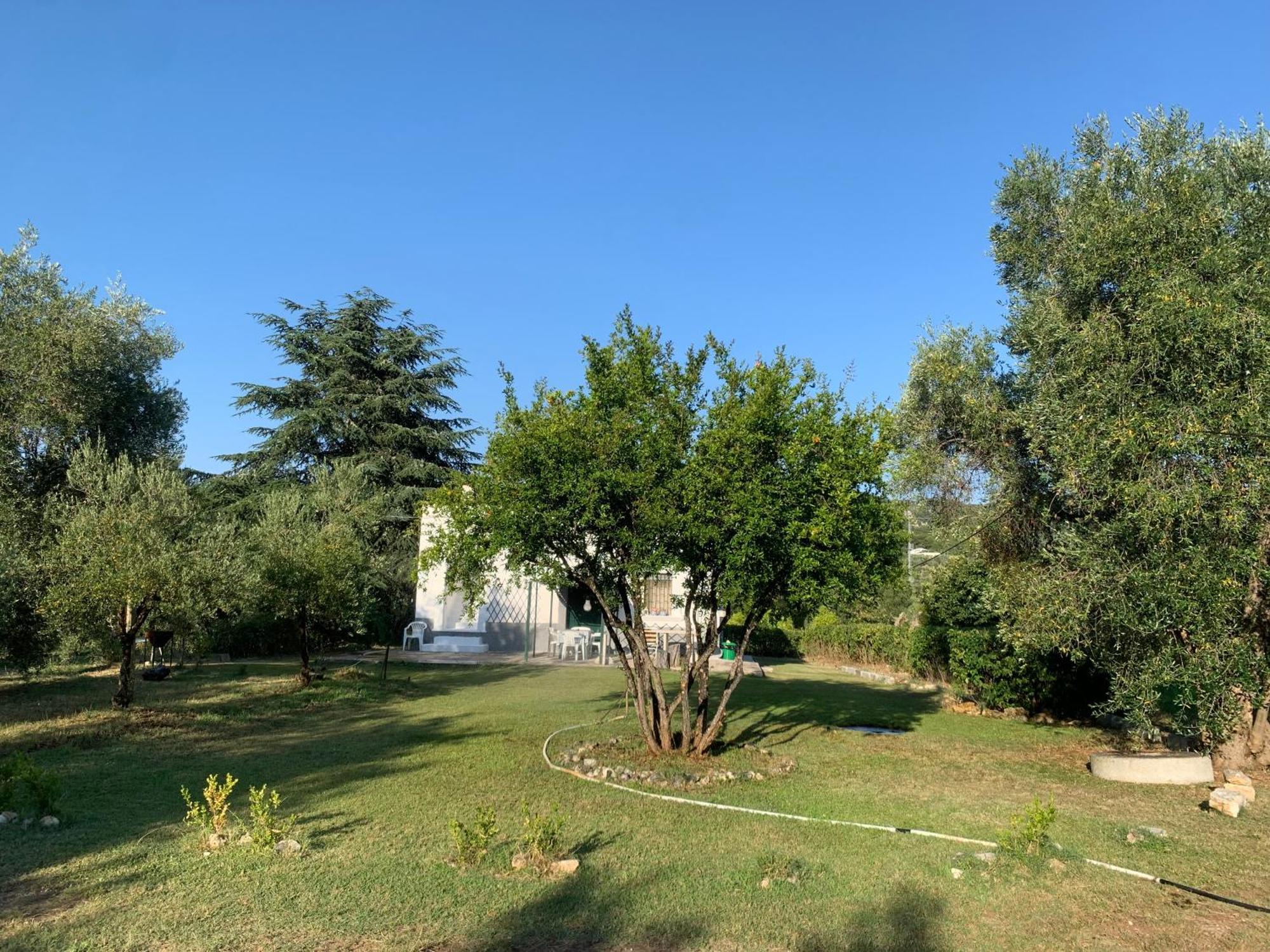 Casa Colonica Di Campagna Come Era Una Volta Peschici Exterior foto