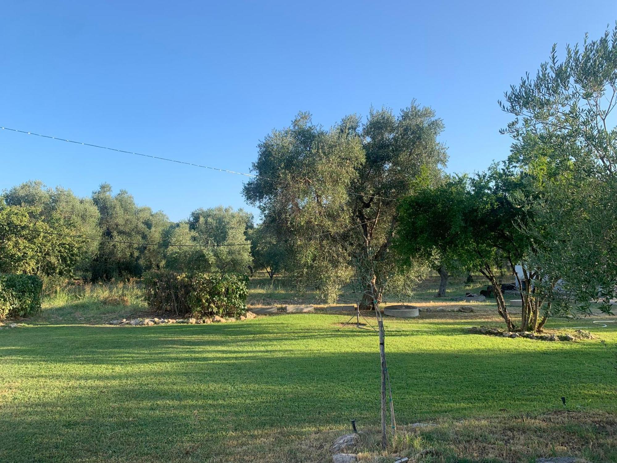 Casa Colonica Di Campagna Come Era Una Volta Peschici Exterior foto