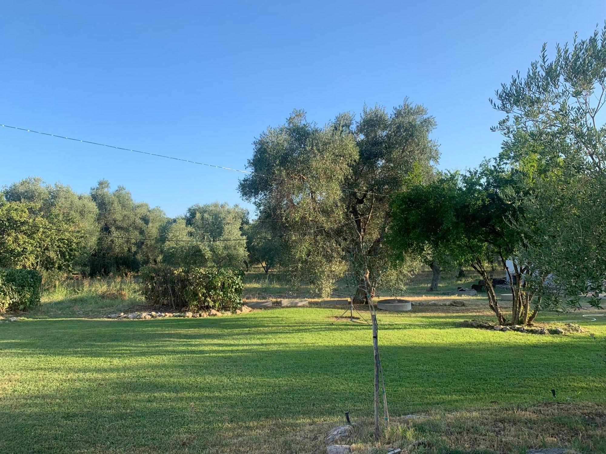 Casa Colonica Di Campagna Come Era Una Volta Vila Peschici Exterior foto