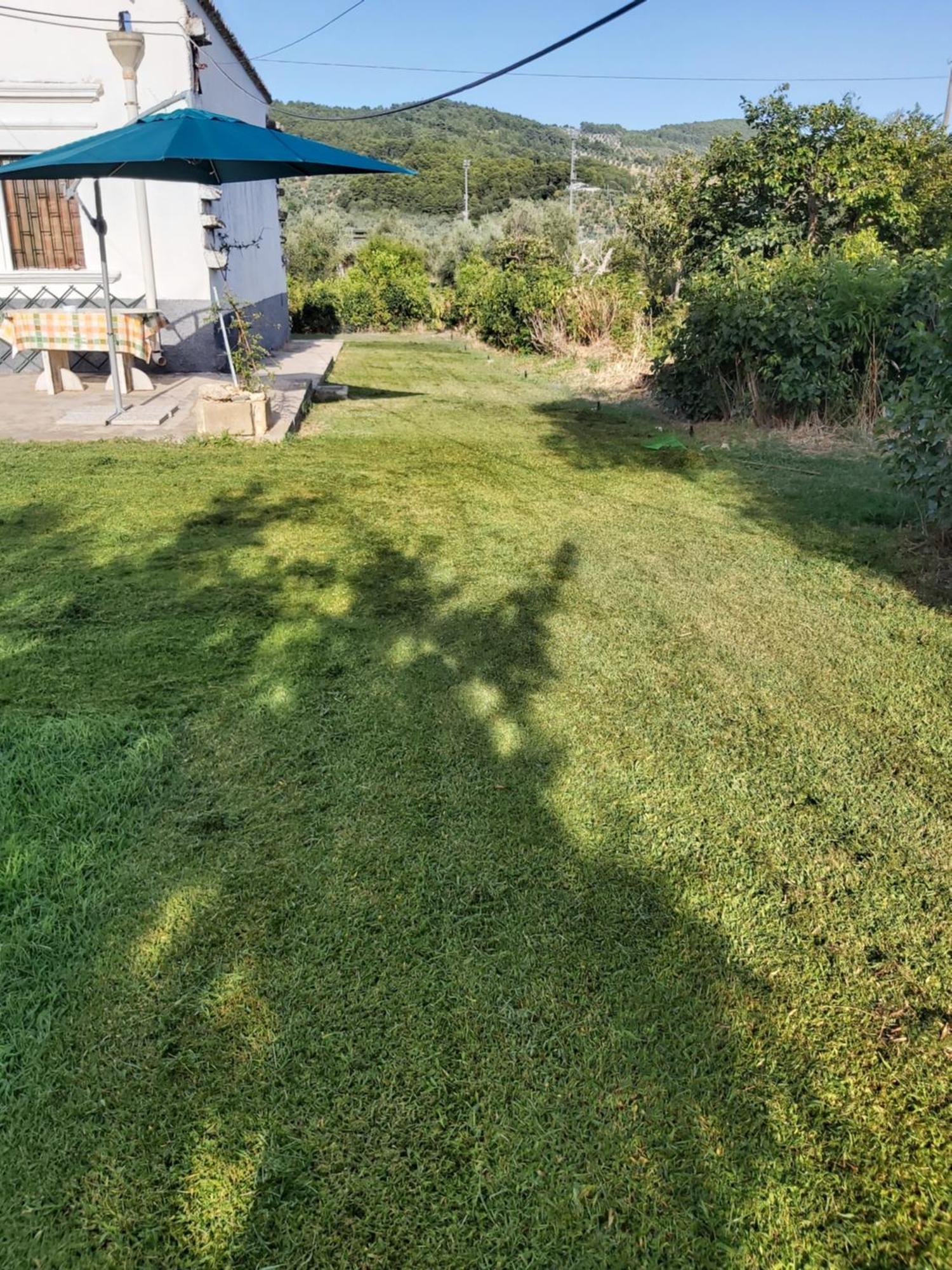 Casa Colonica Di Campagna Come Era Una Volta Vila Peschici Quarto foto